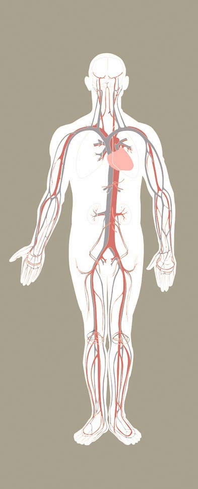 doctor-3187935_1280-001